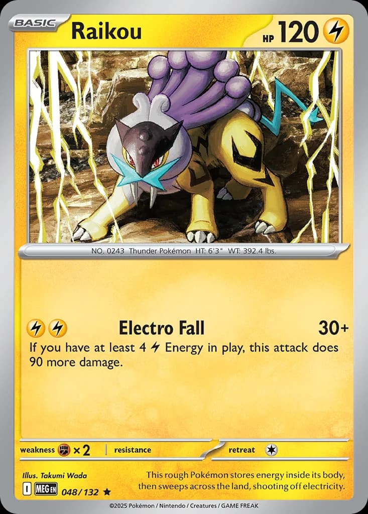 Raikou (48)