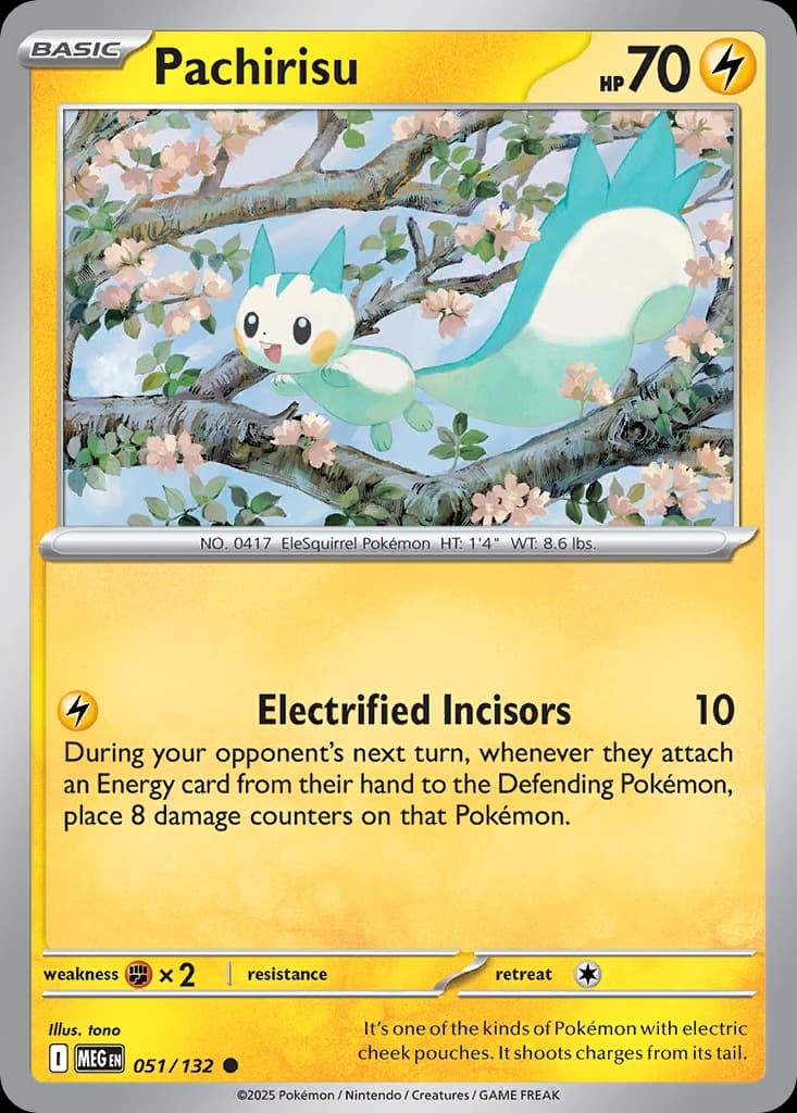 Pachirisu (51)