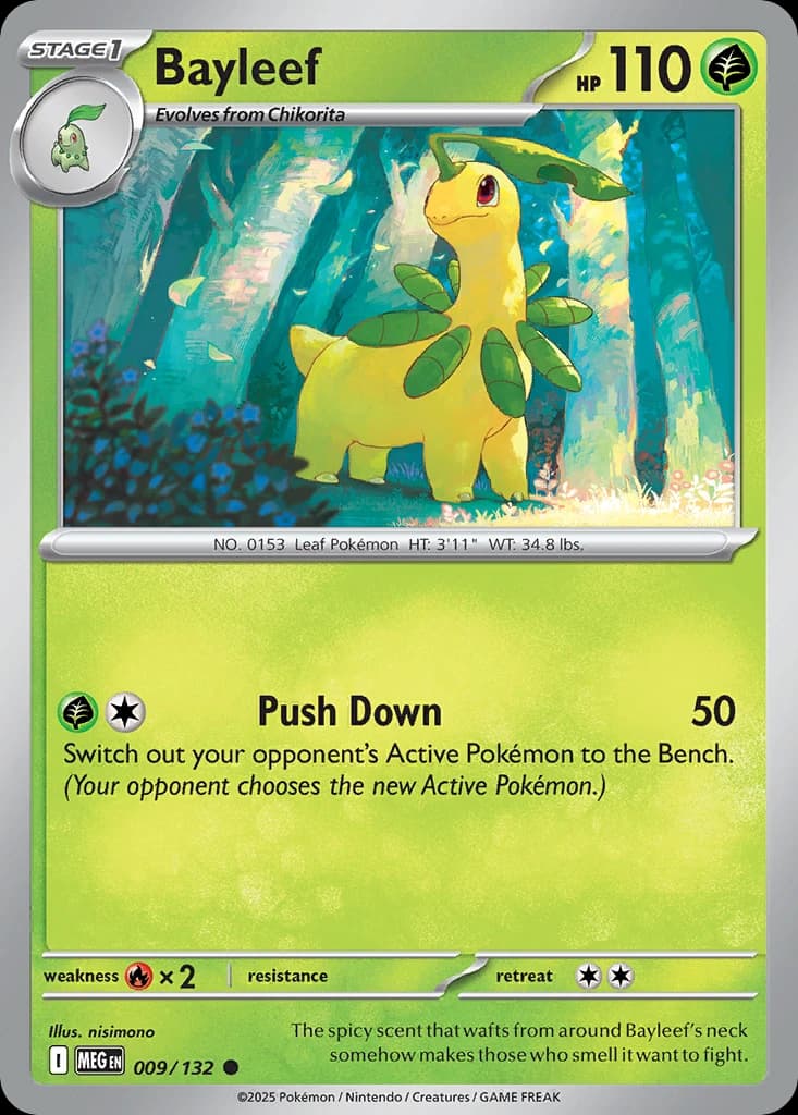Bayleef (9)