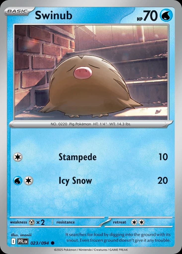 Swinub (23)