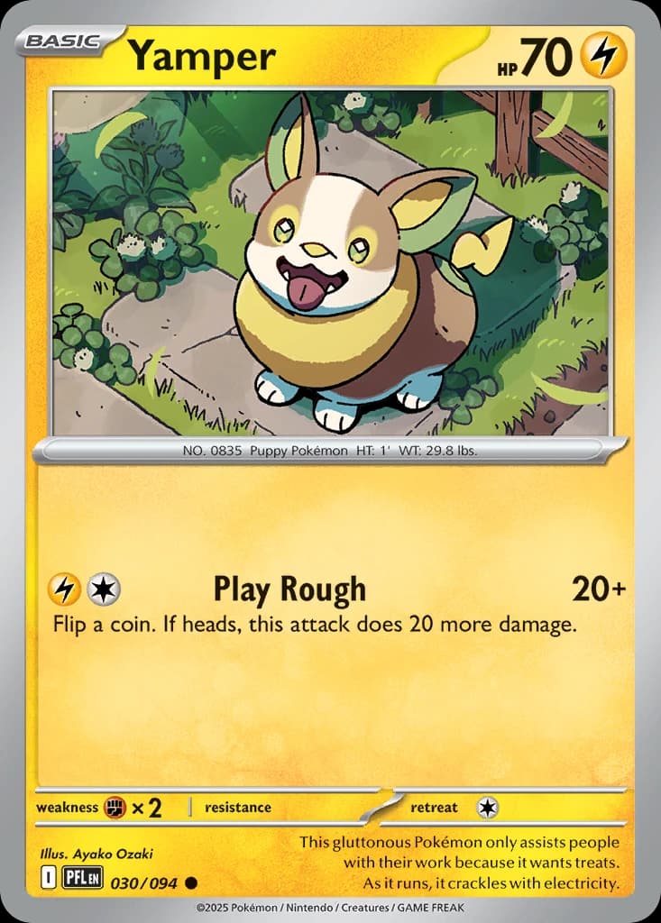 Yamper (30)