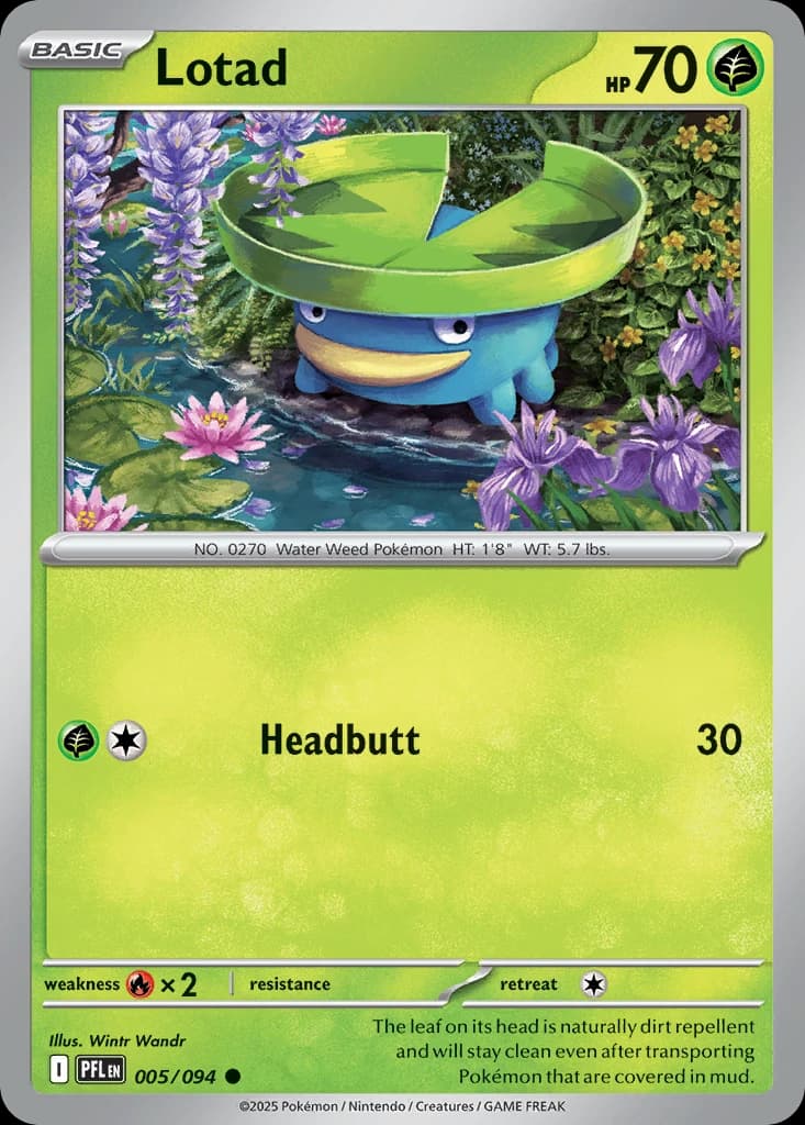 Lotad (5)