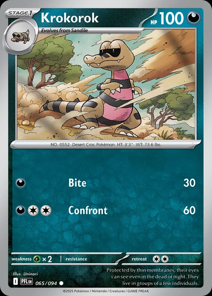 Krokorok (65)