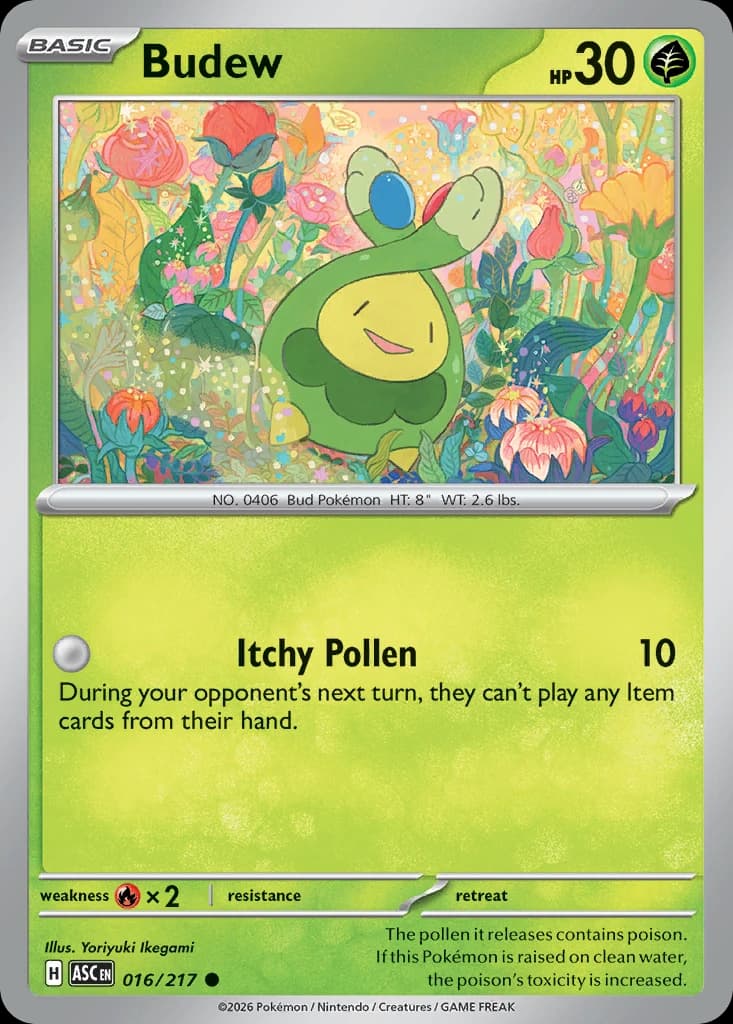 Budew (16)