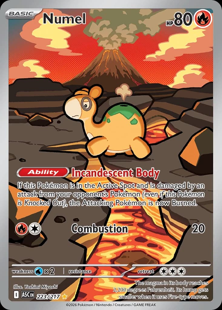 Numel (223)