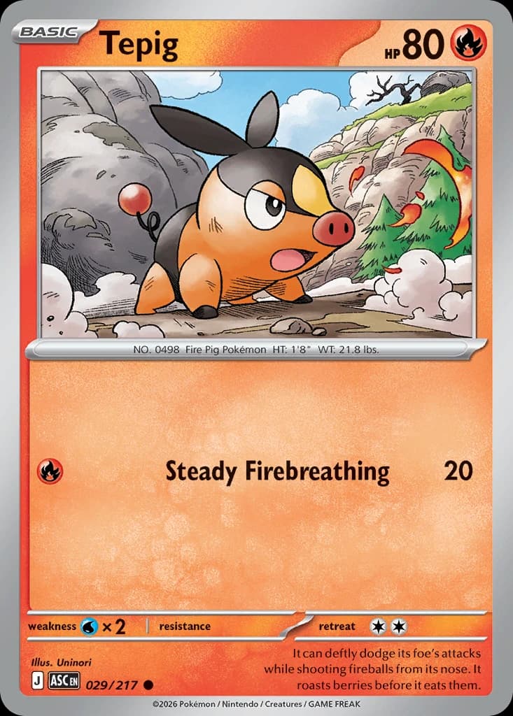 Tepig (29)