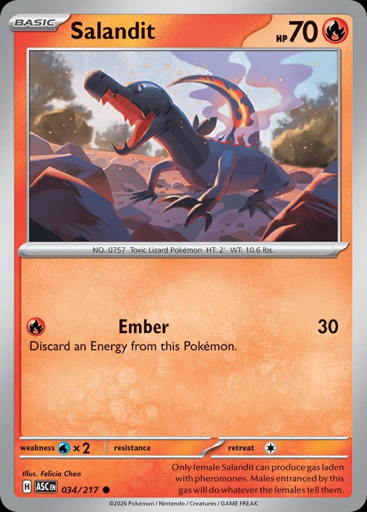 Salandit (34)
