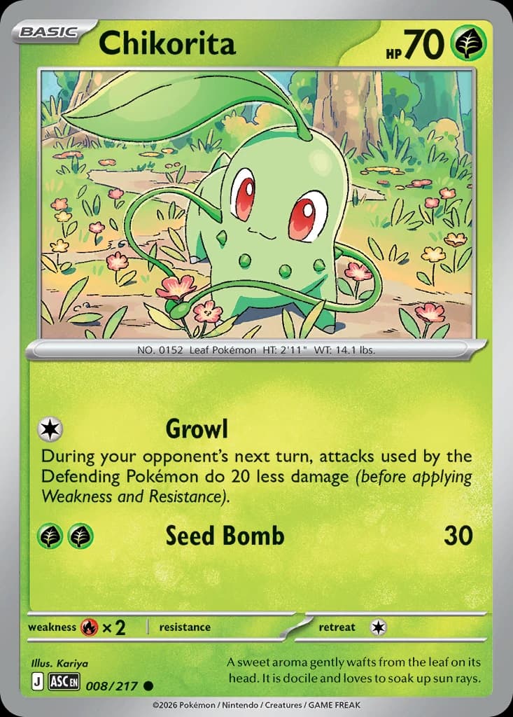Chikorita (8)