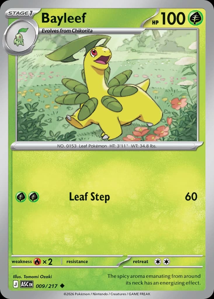 Bayleef (9)