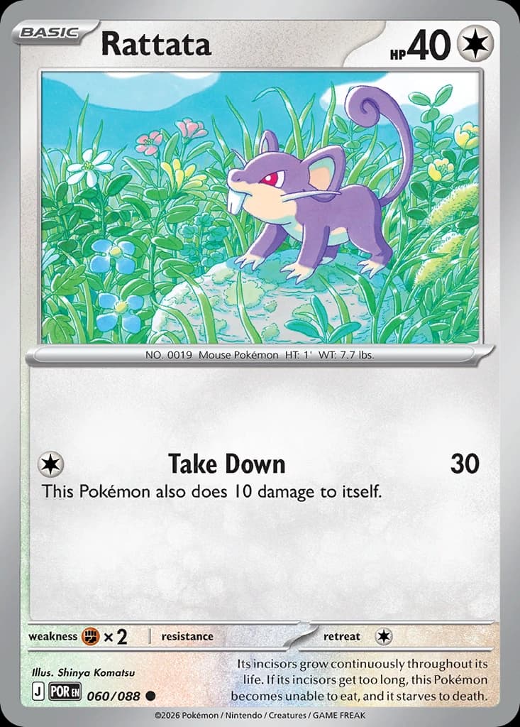 Rattata (60)