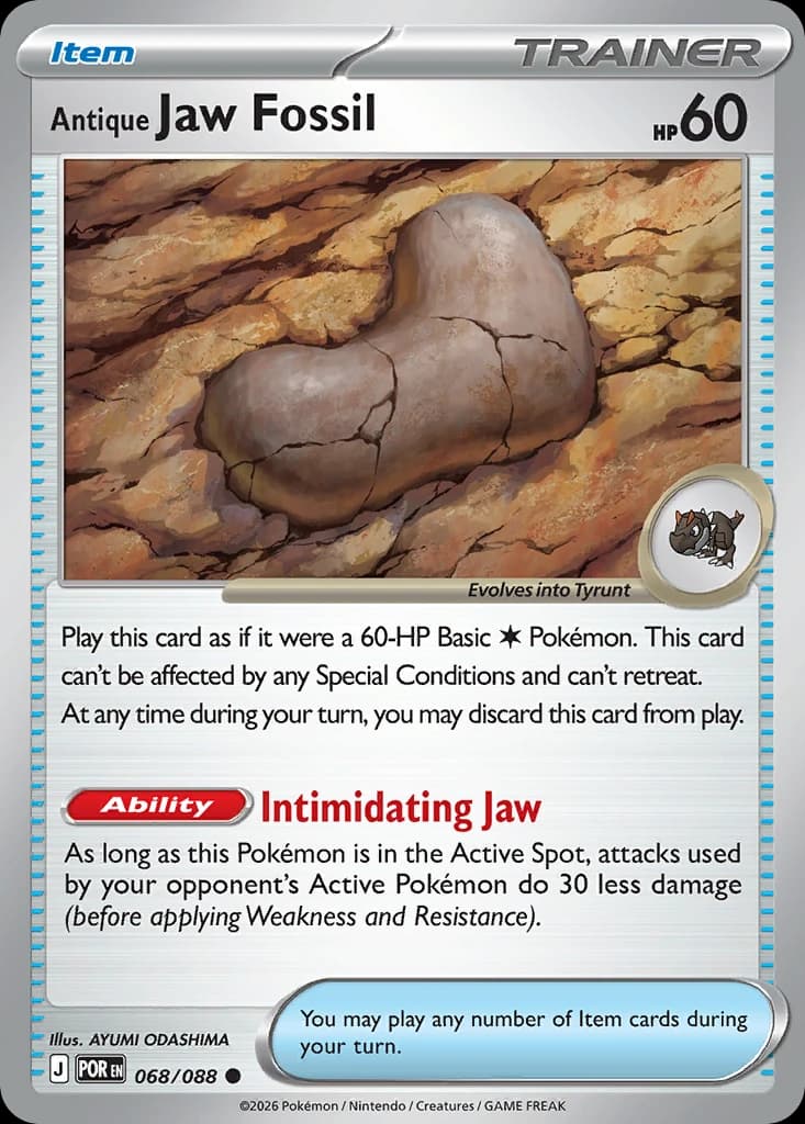 Antique Jaw Fossil (68)