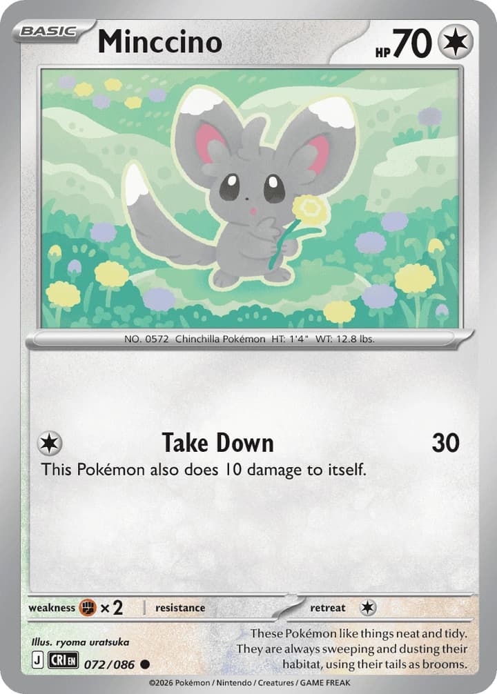 Minccino (72)