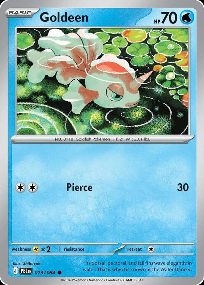 Goldeen (13)