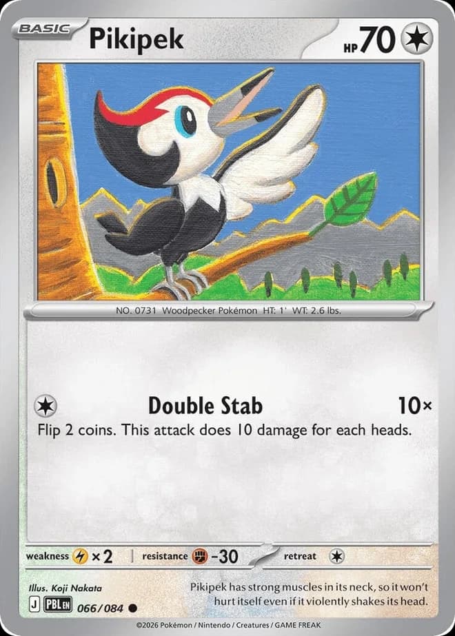 Pikipek (66)