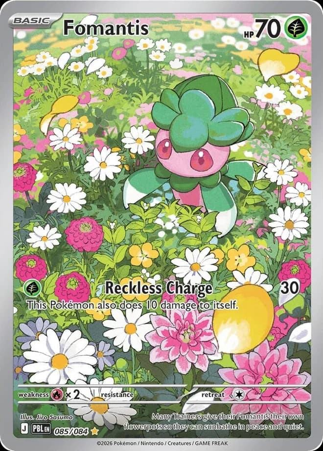 Fomantis (85)