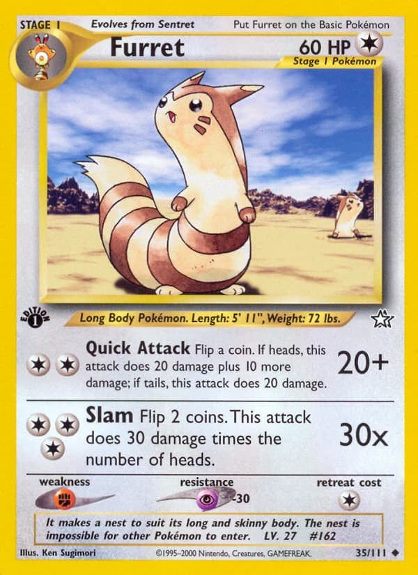 Furret (35)