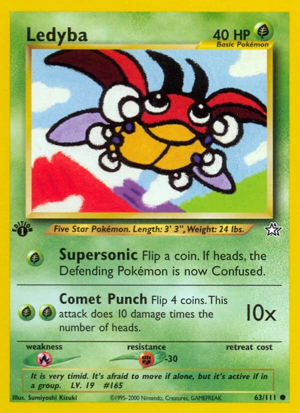 Ledyba (63)