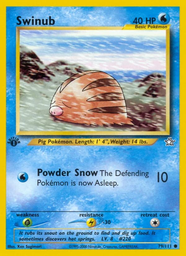 Swinub (79)