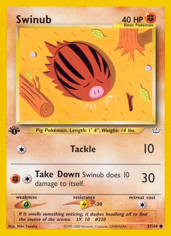 Swinub (57)