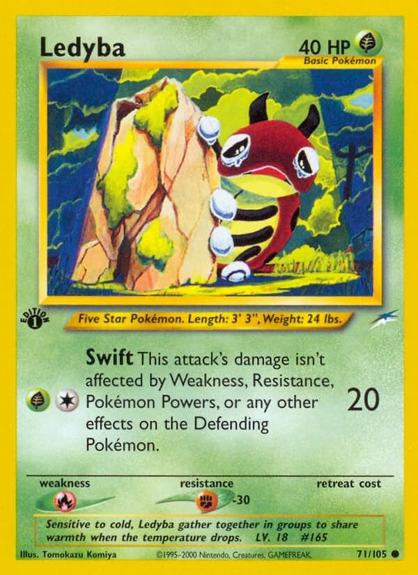 Ledyba (71)