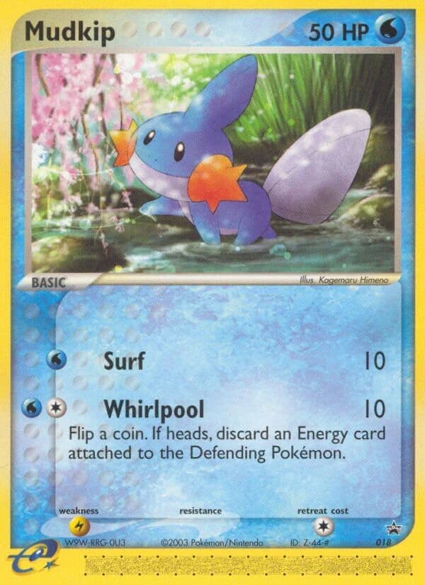Mudkip (18)