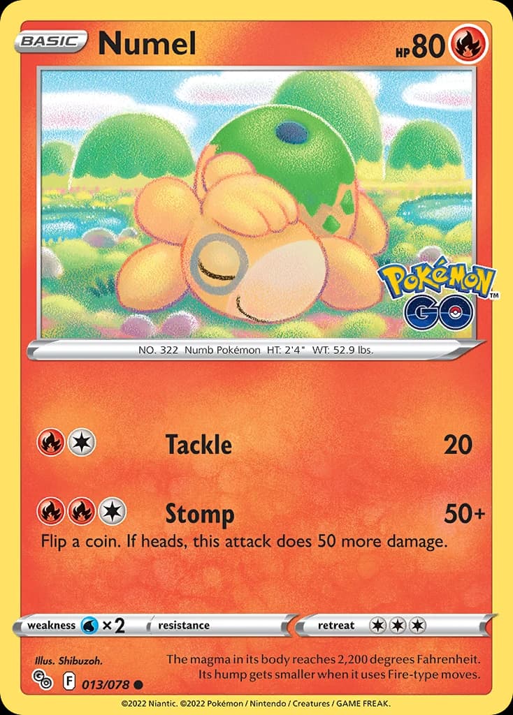 Numel (13)