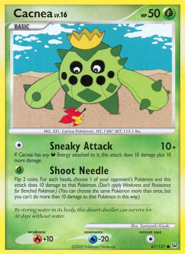 Cacnea (67)