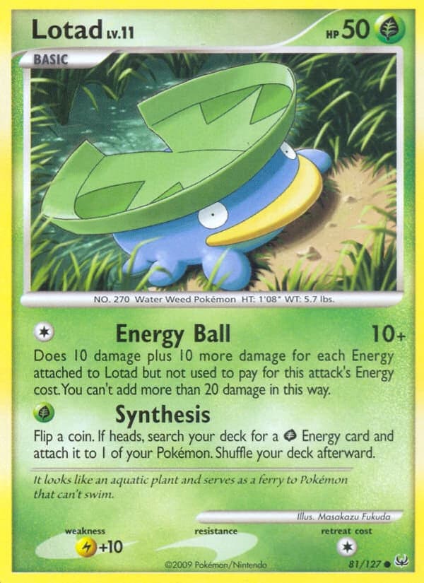 Lotad (81)