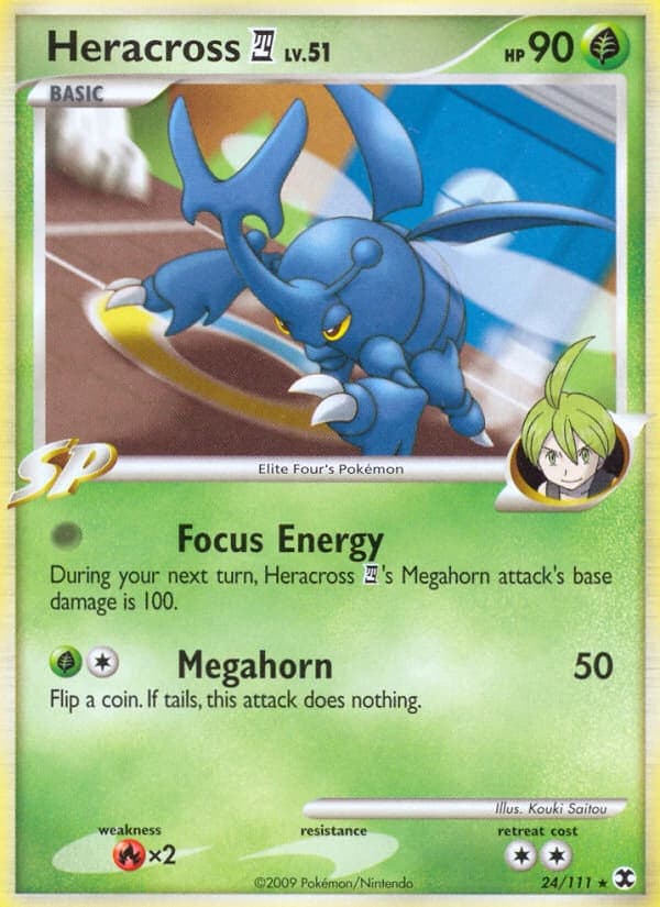 Heracross E4 (24)