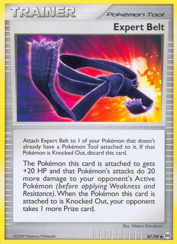 Expert Belt (87)