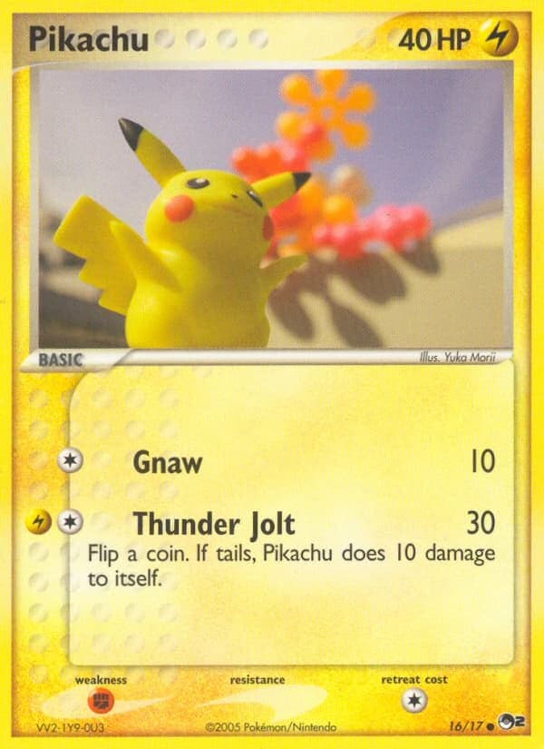 Pikachu (16)