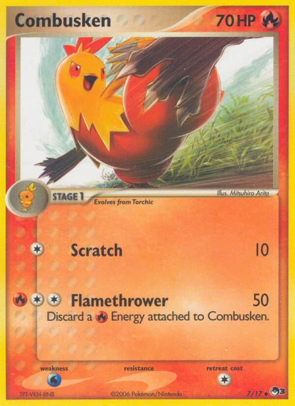 Combusken (7)