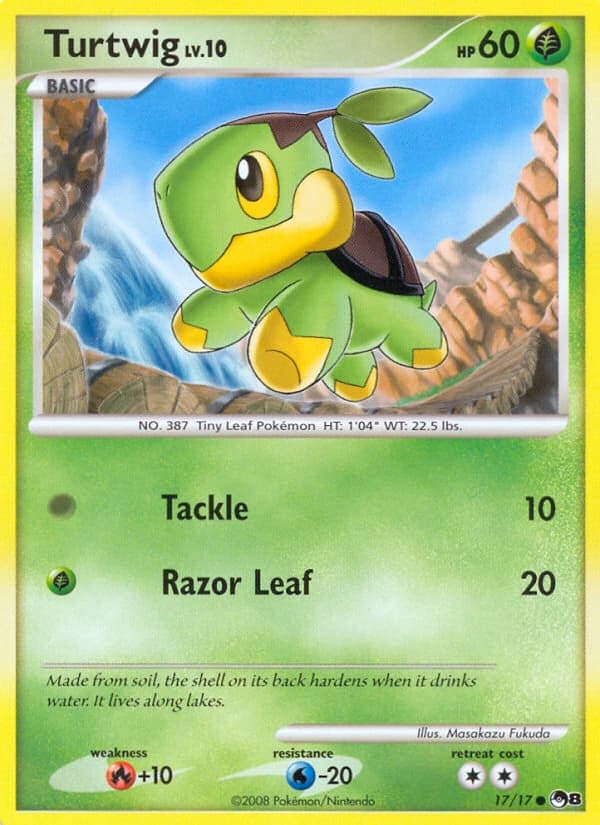 Turtwig (17)