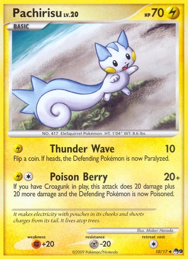 Pachirisu (10)