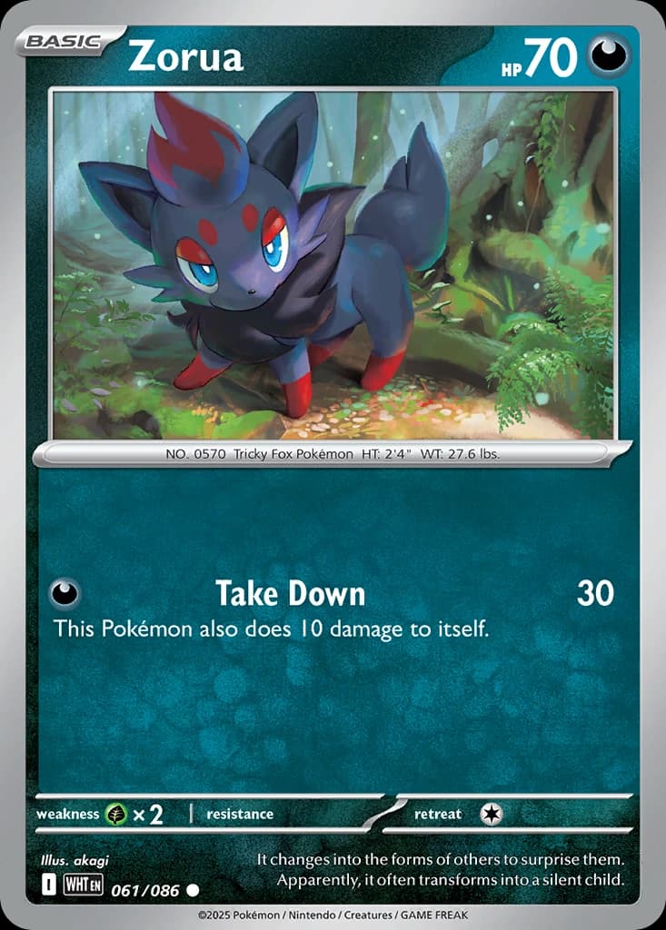 Zorua (61)