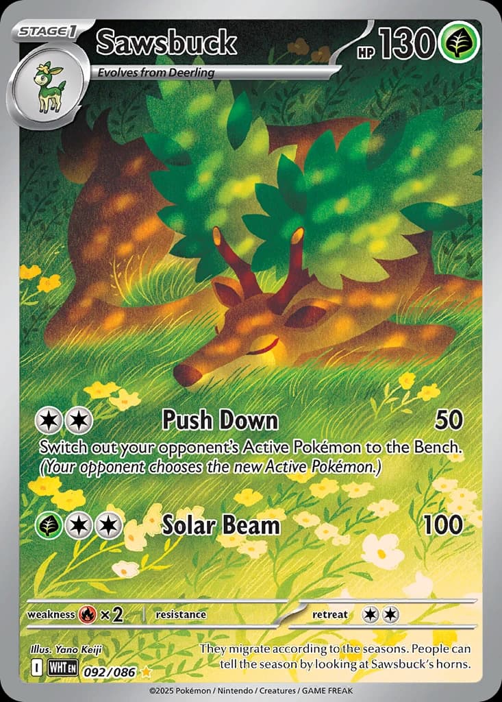 Sawsbuck (92)