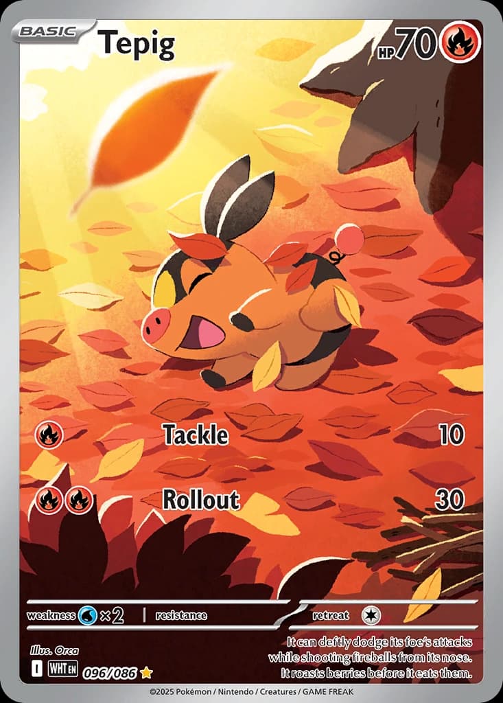 Tepig (96)
