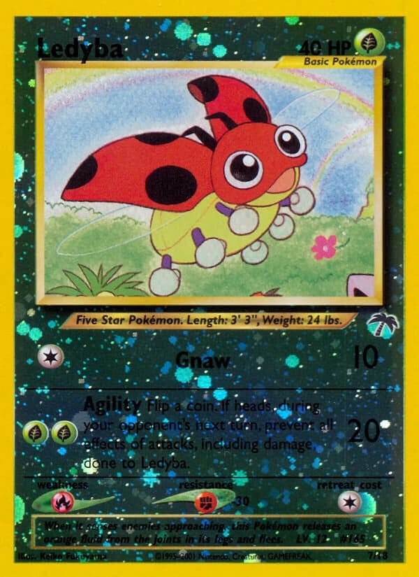 Ledyba (7)
