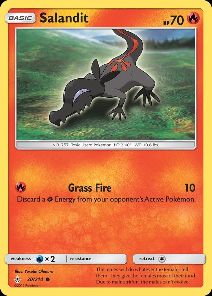 Salandit (30)