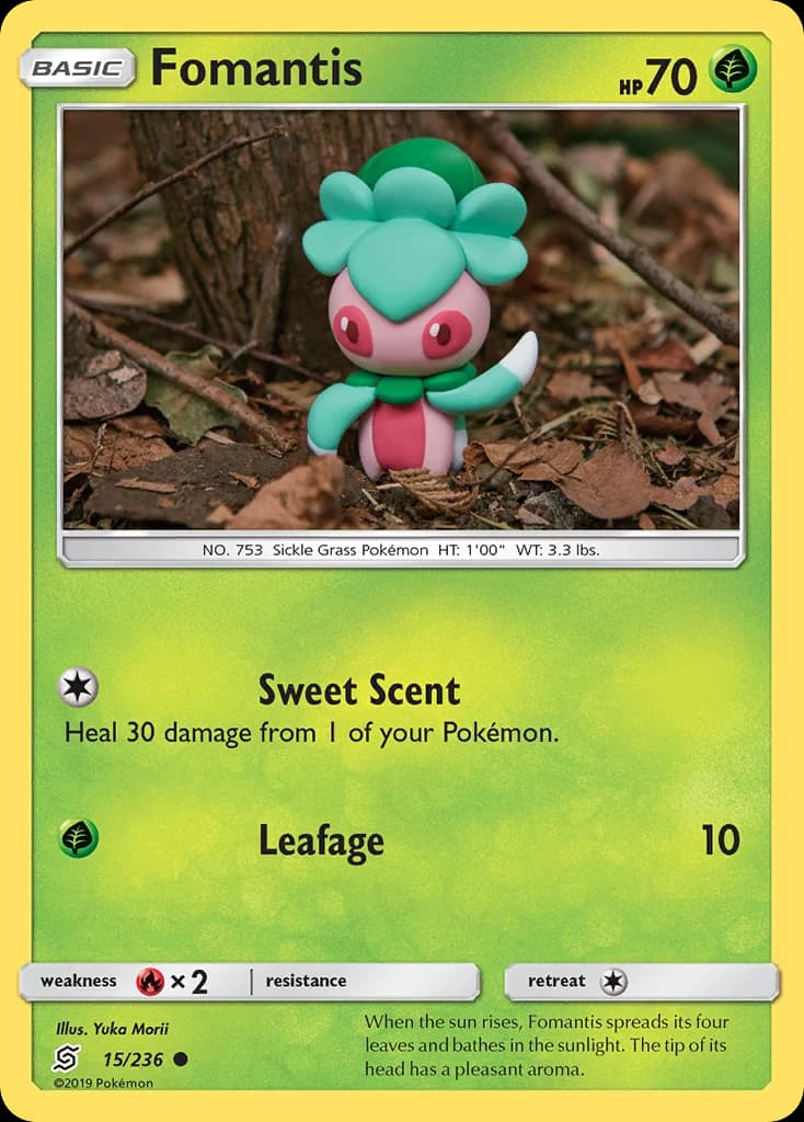 Fomantis (15)