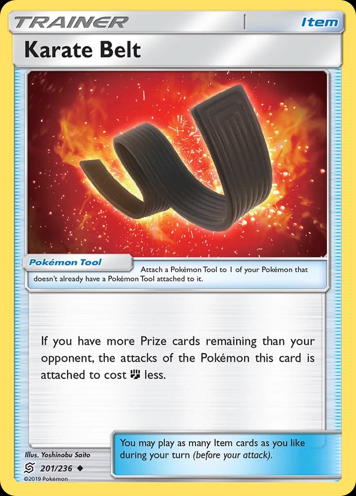 Karate Belt (201)