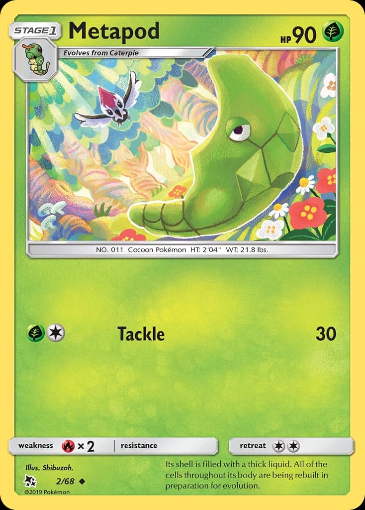 Metapod (2)
