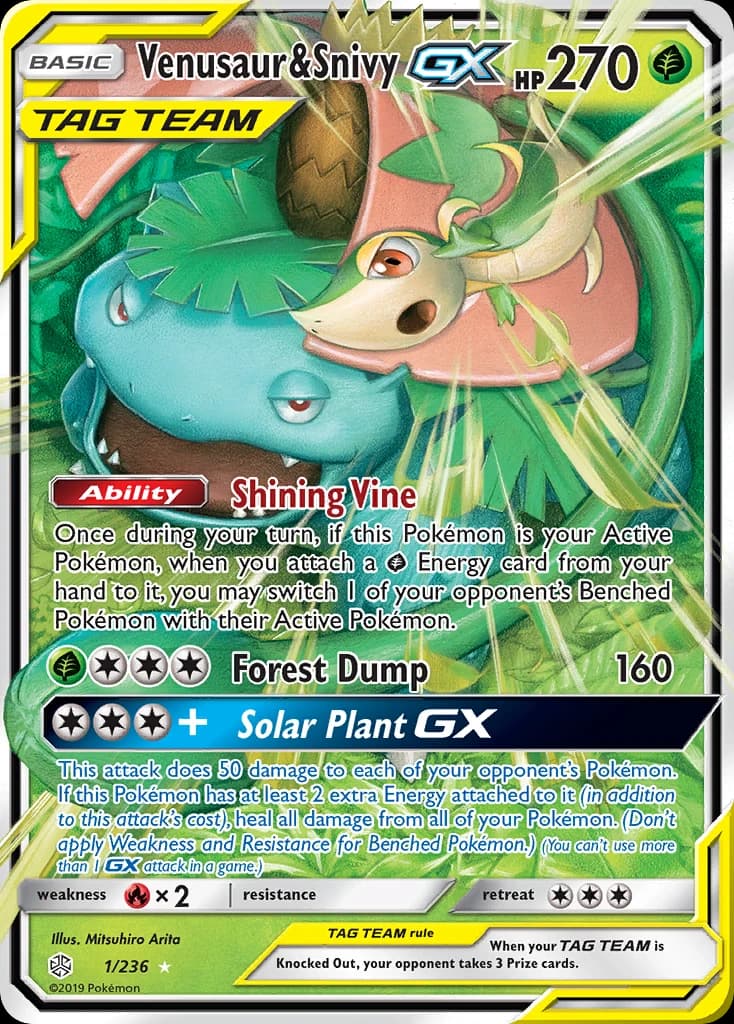 Venusaur & Snivy-GX (1)