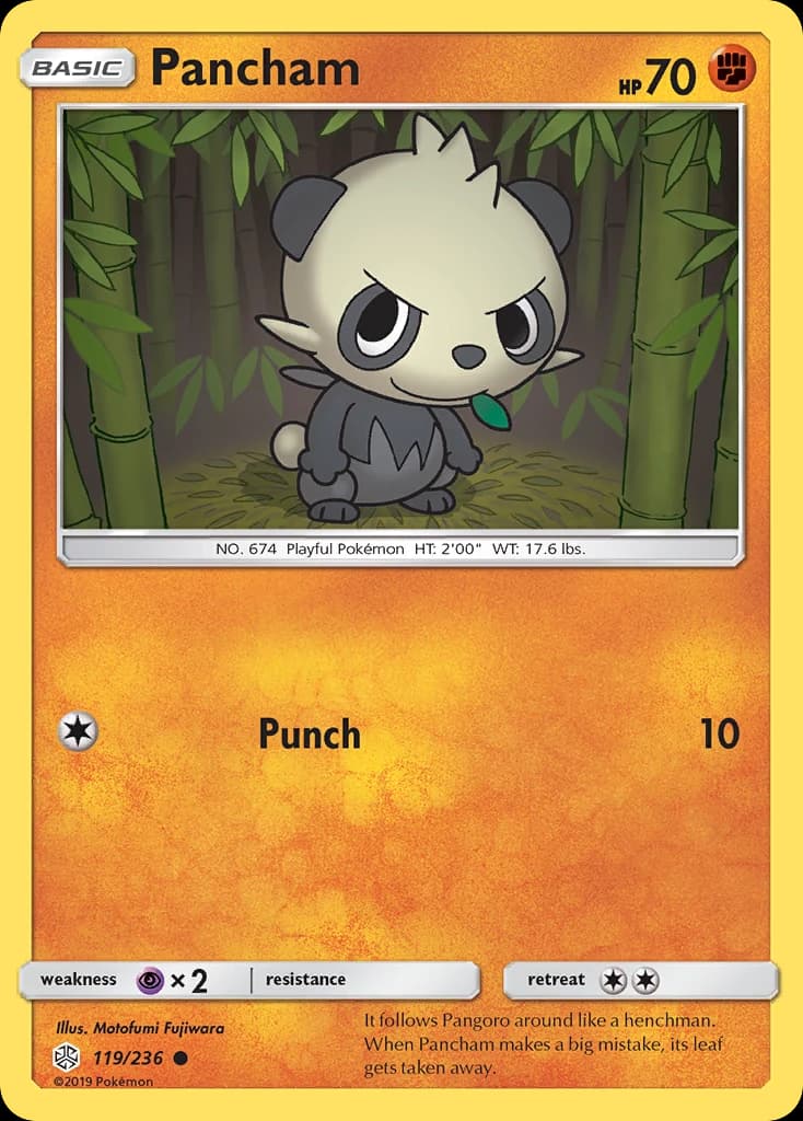 Pancham (119)