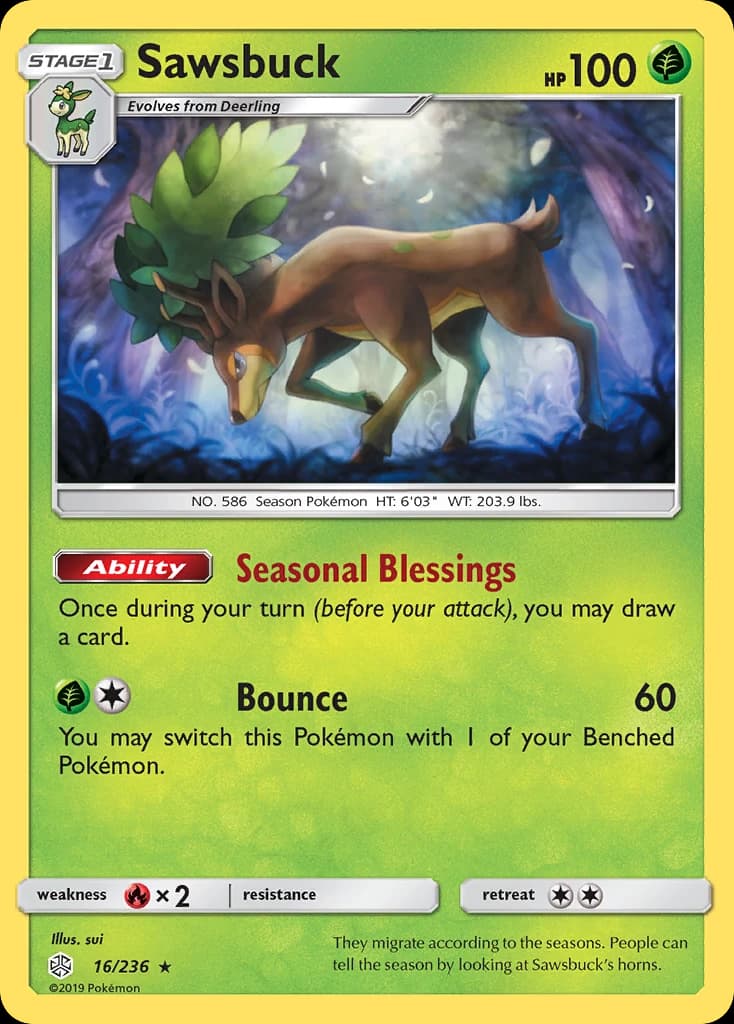 Sawsbuck (16)