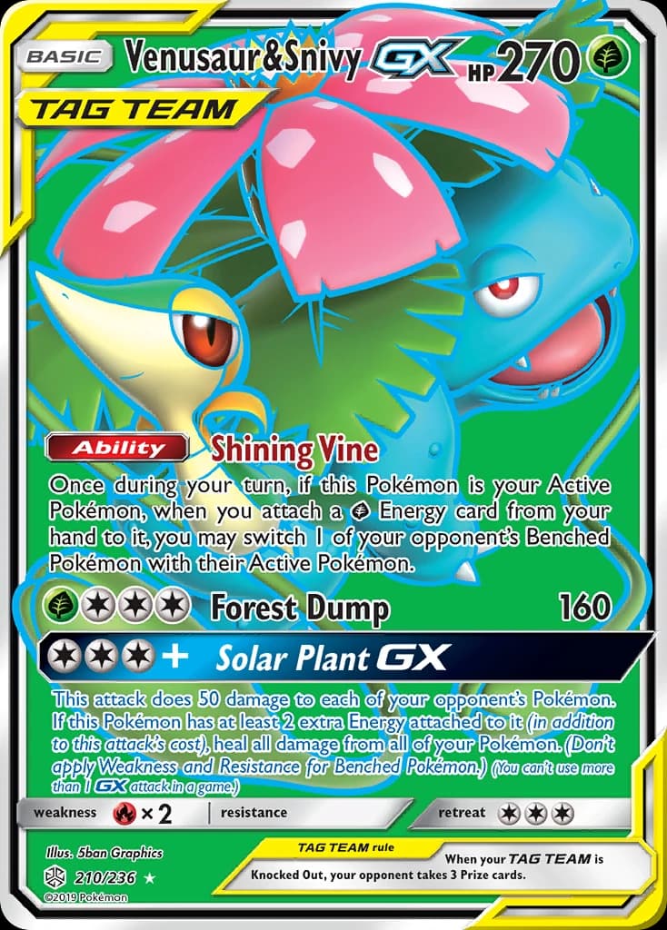 Venusaur & Snivy-GX (210)