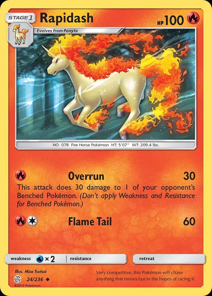 Rapidash (24)