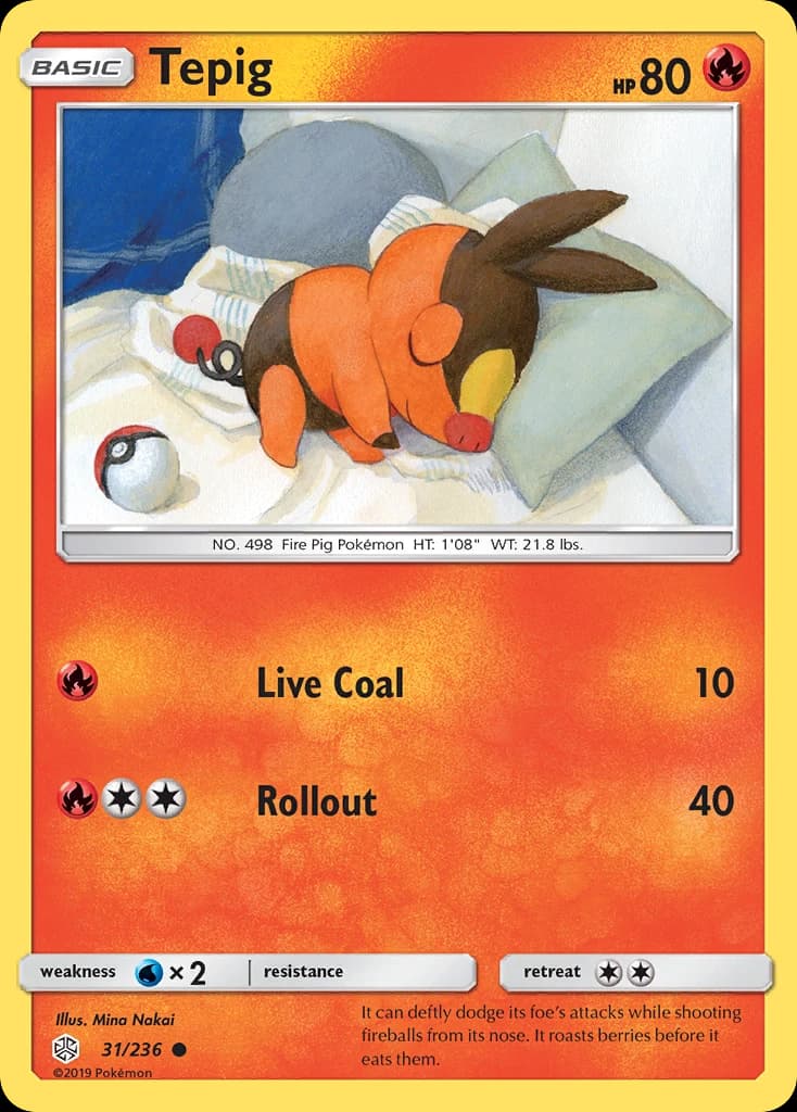 Tepig (31)