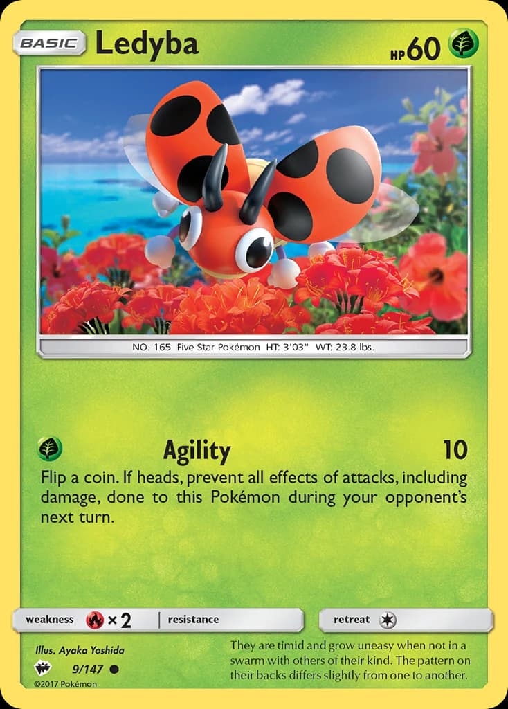 Ledyba (9)