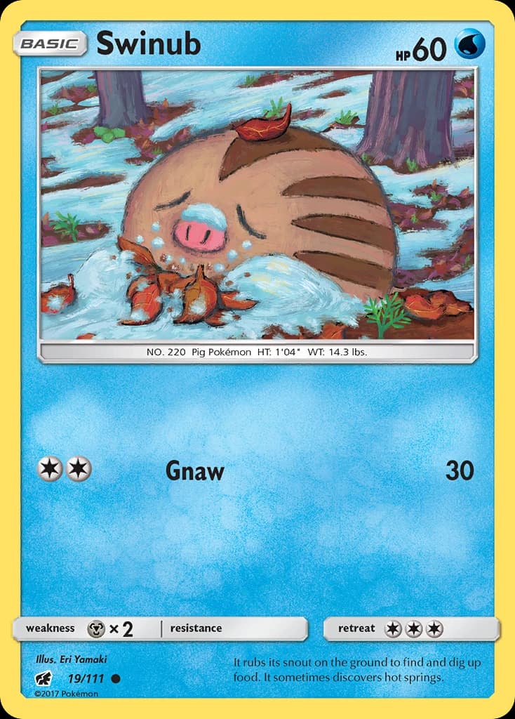 Swinub (19)